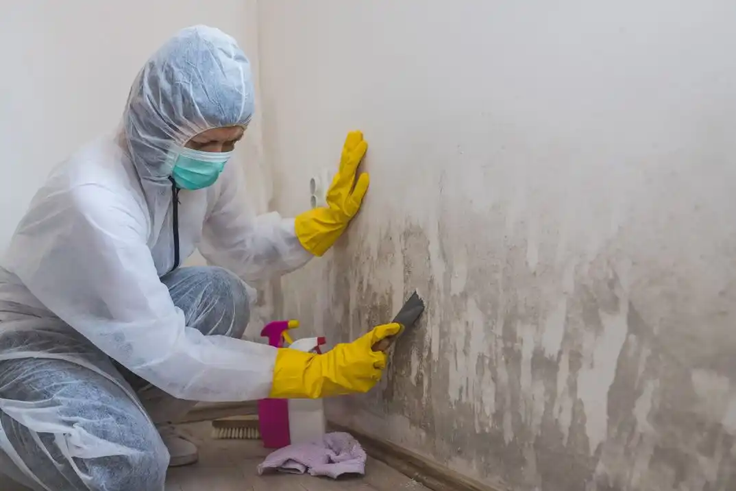 water damage restoration service Arlington